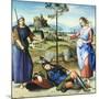 Vision of a Knight, C1504-Raphael-Mounted Giclee Print