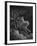 Vision of Death-Gustave Doré-Framed Giclee Print