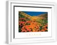 White Frame