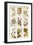 Black Frame