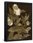 Essential Black
