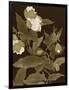 Gramercy Black