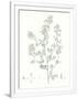 Gramercy White