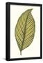Essential Black