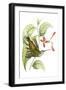 Black Frame