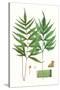 Stretched Canvas