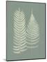 Wood Mount