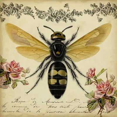 Haus and Hues Honey Bee Decor Cavallini Poster Bee Wall Decor Vintage Posters for Room Aesthetic Prints and Posters Vintage Prints and Plant Posters Follygraph Fleurs Vintage Poster UNFRAMED 12x16 