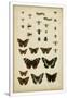 Gramercy White