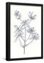Essential Black