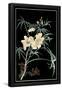 Essential Black