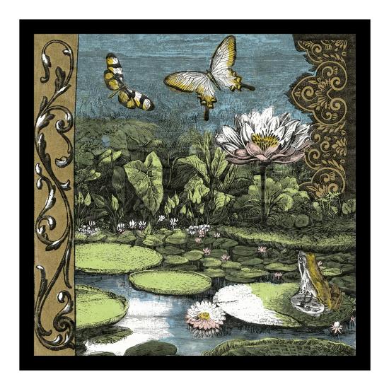 Art Print, , large