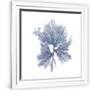 Gramercy White