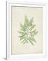 Gramercy White