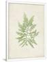 Gramercy White