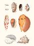 Laminate