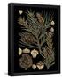 Essential Black