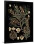 Gramercy Black
