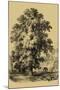 Wood Mount