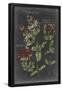 Essential Black