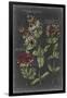 Gramercy Black