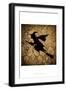 Black Frame