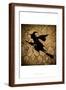 Brown Frame