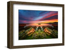 Vision-Philippe Sainte-Laudy-Framed Photographic Print