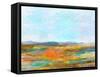 Visions I-Michael Tienhaara-Framed Stretched Canvas