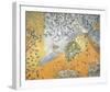 Visions II-Keiji Hayashi-Framed Giclee Print