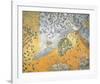 Visions II-Keiji Hayashi-Framed Giclee Print