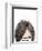 Visions of Hair Style II-Anna Quach-Framed Art Print