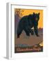 Visit Canada - Grizzly Bear - Canadian Pacific Railway, Vintage Railroad Travel Poster, 1938-Thomas (Tom) Hall-Framed Art Print