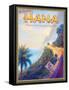 Visit Hana-Kerne Erickson-Framed Stretched Canvas