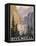 Visit Historic Rivendell-Steve Thomas-Framed Stretched Canvas