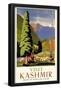 Visit Kashmir-null-Framed Poster