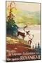 Visit Lapland and Rovaniemi, Finland, Poster in French-null-Mounted Giclee Print