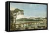 Visit of King Francis I and the Queen of Naples to Charles X at St Cloud, May 1830-null-Framed Stretched Canvas