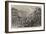 Visit of King Victor Emmanuel to Venice, State Barges of the Deputations of the Venetian Cities-null-Framed Giclee Print