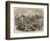 Visit of the British Association of Science to Basford Park, Nottingham-null-Framed Giclee Print