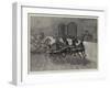 Visit of the Queen to Olympia, the Chariot Race-null-Framed Giclee Print