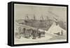Visit of the Viceroy of India to the Sassoon Dock at Bombay-null-Framed Stretched Canvas