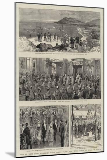 Visit of their Royal Highnesses Prince Albert Victor and Prince George of Wales to Dublin-null-Mounted Giclee Print