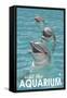 Visit the Aquarium, Dolphins Scene-Lantern Press-Framed Stretched Canvas