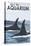 Visit the Aquarium, Orca Fins-Lantern Press-Stretched Canvas