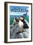 Visit the Aquarium, Pacific Puffins Scene-Lantern Press-Framed Art Print