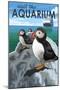 Visit the Aquarium, Pacific Puffins Scene-Lantern Press-Mounted Art Print