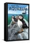 Visit the Aquarium, Pacific Puffins Scene-Lantern Press-Framed Stretched Canvas