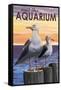 Visit the Aquarium, Sea Gulls Scene-Lantern Press-Framed Stretched Canvas