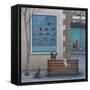 Visit the Aquarium-Peter Adderley-Framed Stretched Canvas